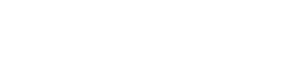 vortexpuebla.com